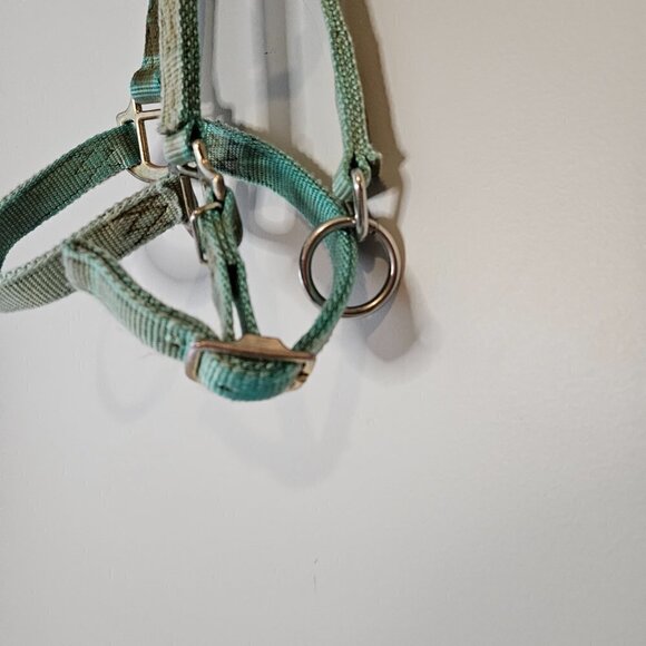 Colt Halter, used faded turquoise - Picture 4 of 6